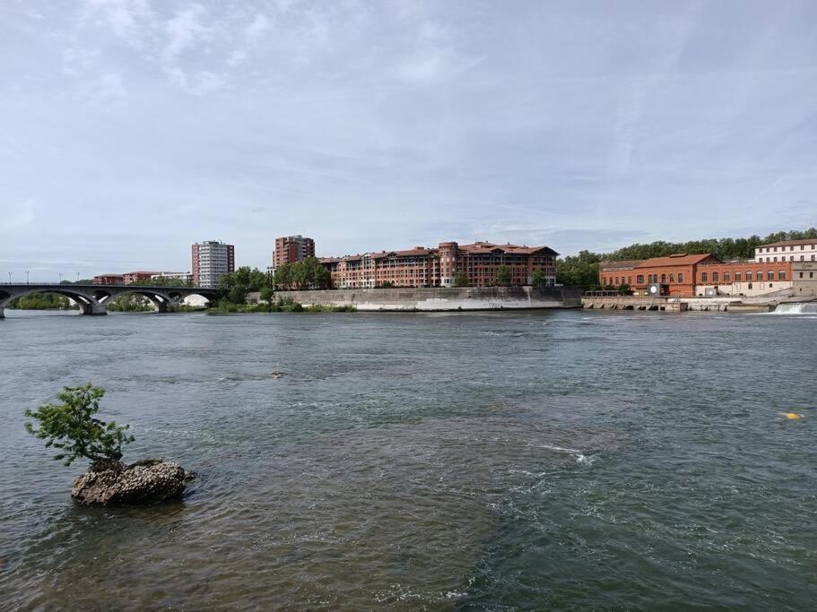 Apartamento T3 Lumineux - Berges De La Garonne - Parking Toulouse Exterior foto